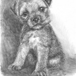 Щенок карандашом