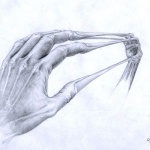 Растянутая рука